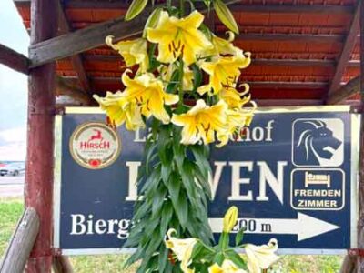 Wegweiser zum Löwen