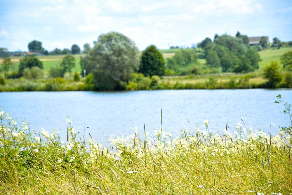 Blick auf Naturschutzgebiet Sauldorfer Seen