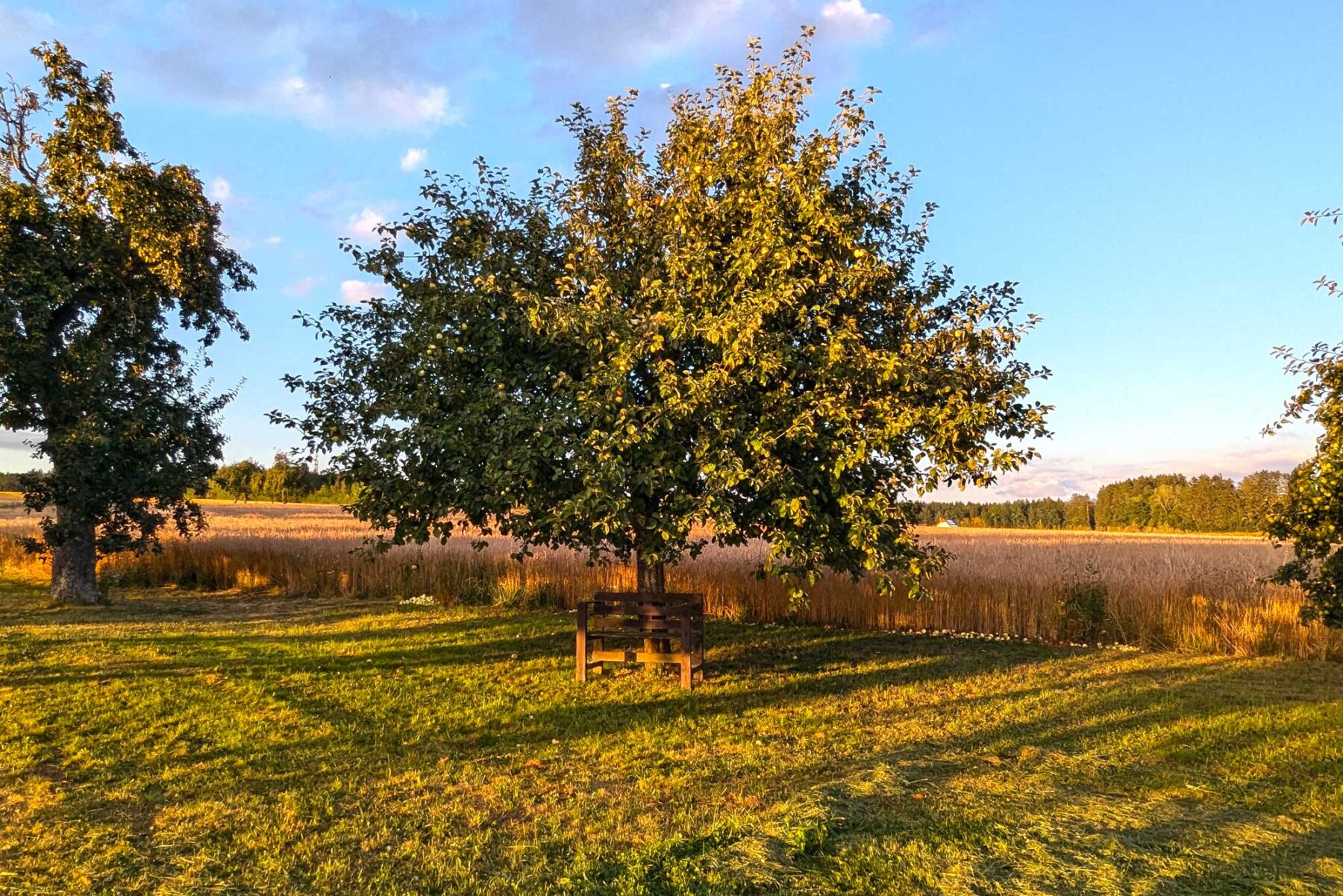 Herbst in rast