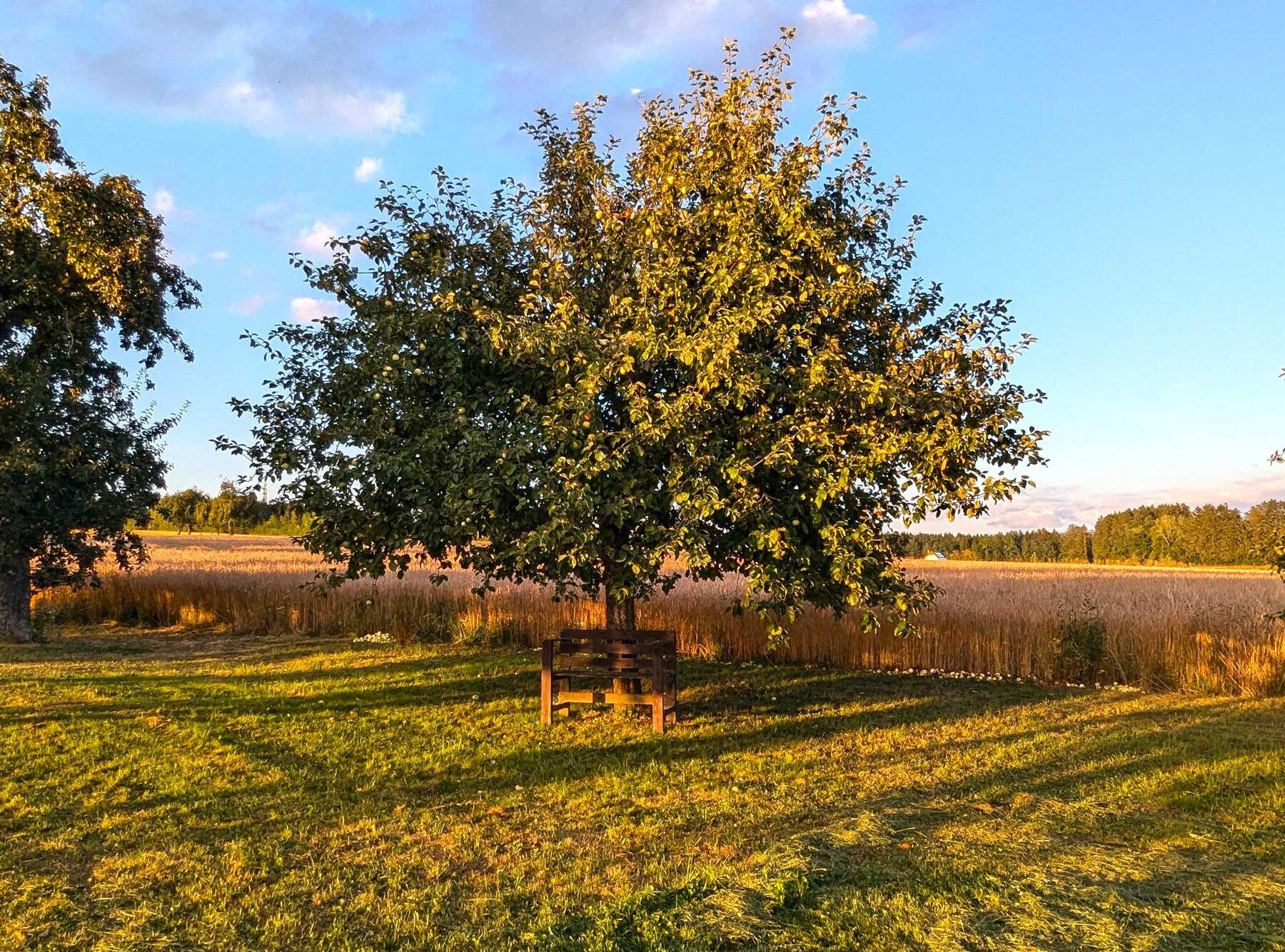 Herbst in rast