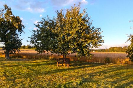 Herbst in rast